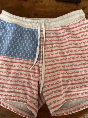 Chubbies Shorts